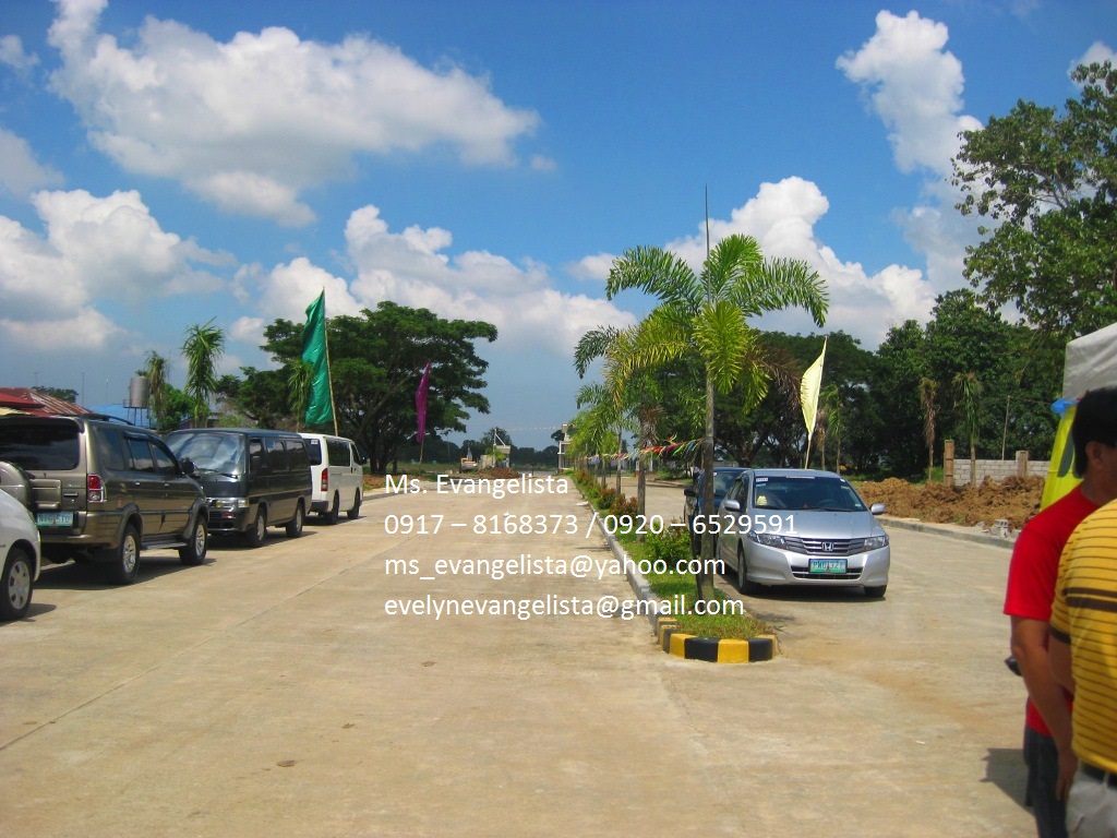 FOR SALE: Lot / Land / Farm Cavite 2