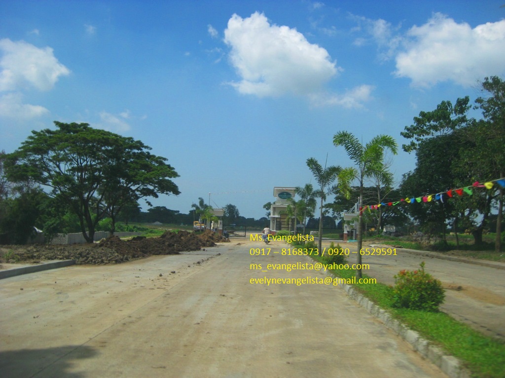 FOR SALE: Lot / Land / Farm Cavite 3