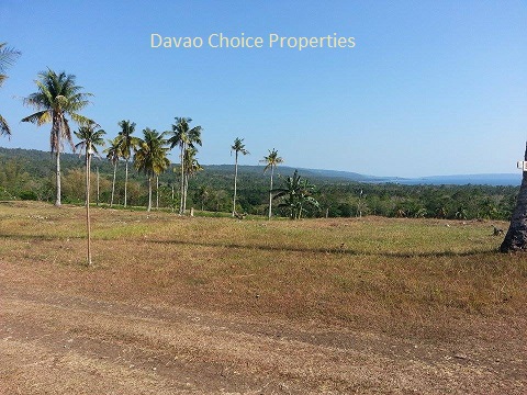 FOR SALE: Lot / Land / Farm Davao del Sur > Samal 1