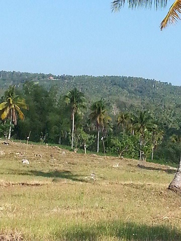 FOR SALE: Lot / Land / Farm Davao del Sur > Samal 3