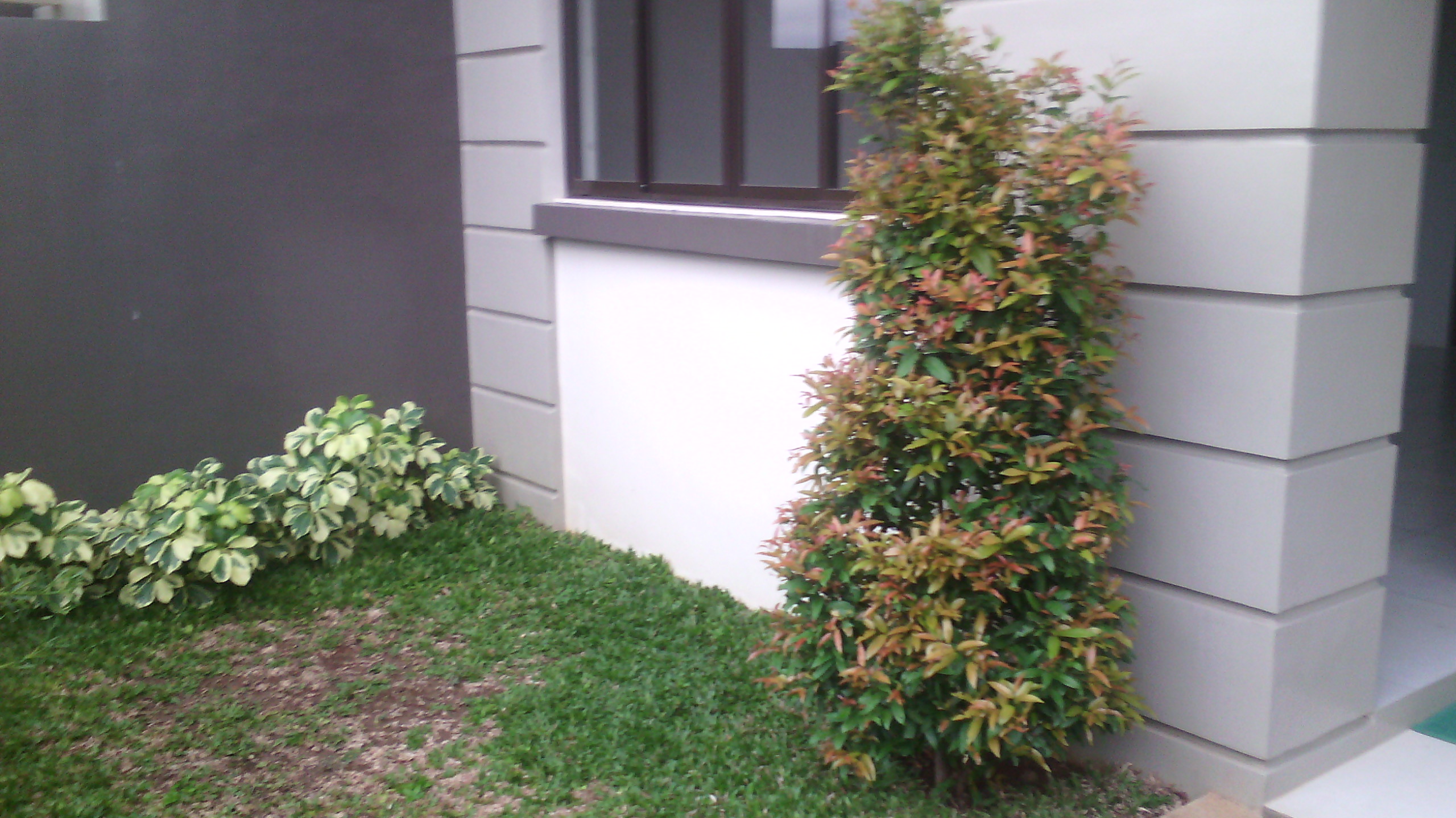 FOR SALE: Apartment / Condo / Townhouse Rizal > Antipolo 3