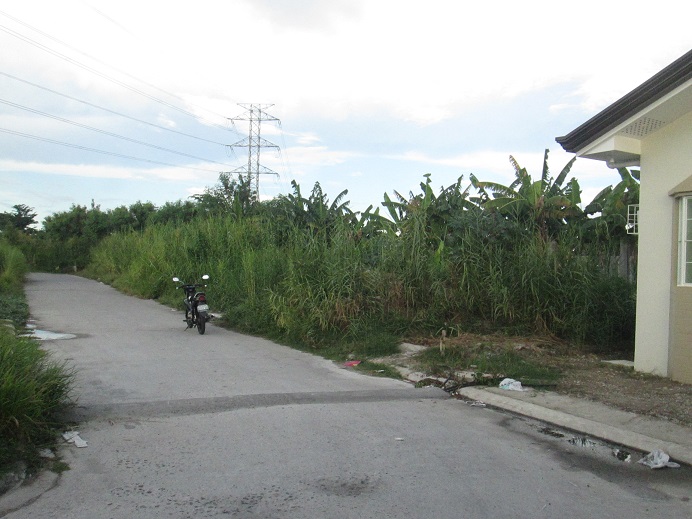 FOR SALE: Lot / Land / Farm Bulacan > Other areas 4