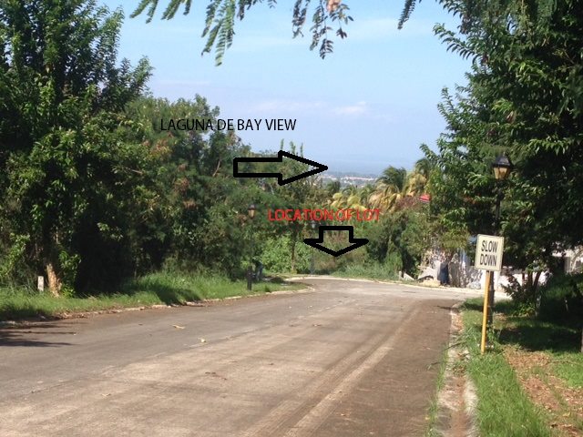 FOR SALE: Lot / Land / Farm Laguna > Calamba