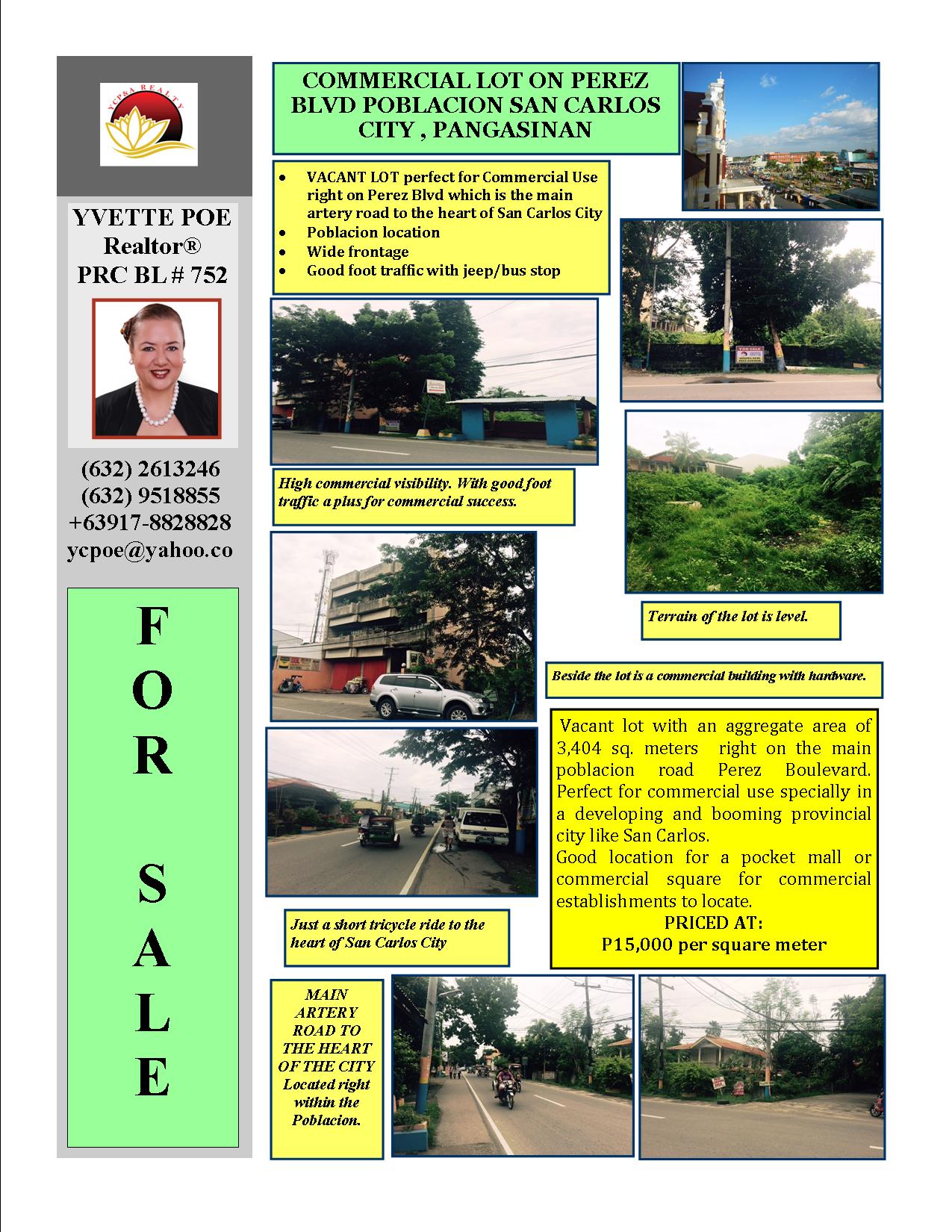 FOR SALE: Lot / Land / Farm Pangasinan