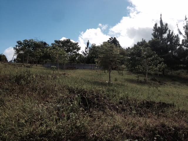 FOR SALE: Lot / Land / Farm Negros Occidental