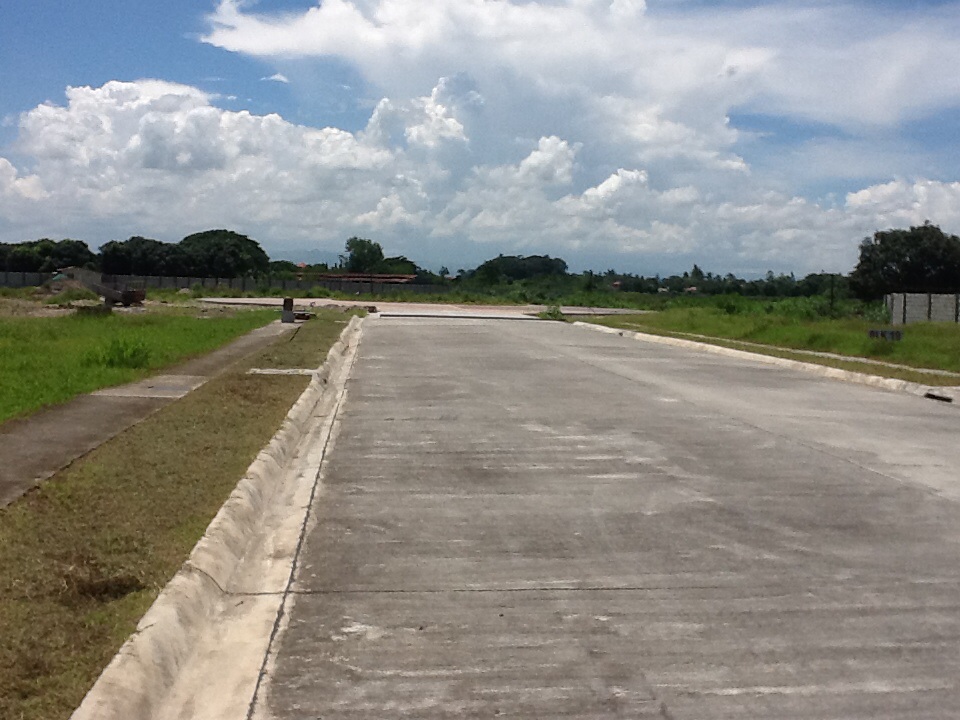 FOR SALE: Lot / Land / Farm Tarlac 1