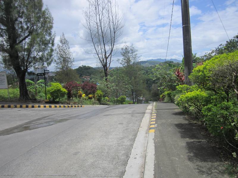 FOR SALE: Lot / Land / Farm Rizal > Antipolo 1