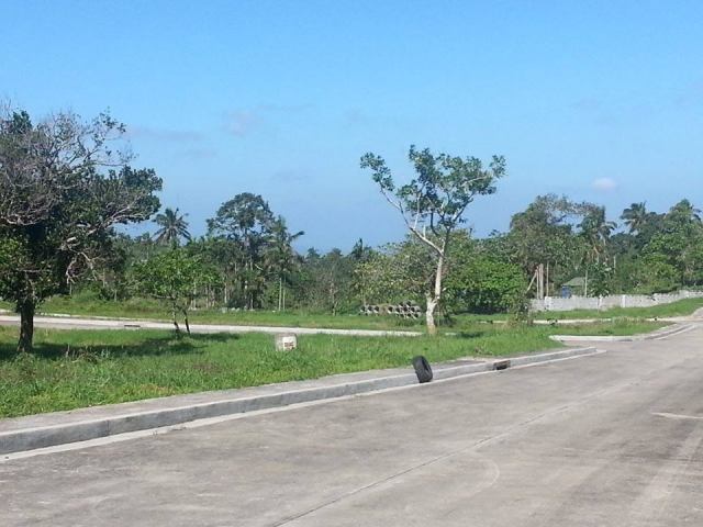 FOR SALE: Lot / Land / Farm Cavite 1