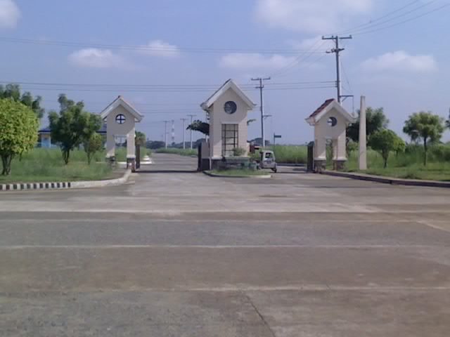 FOR SALE: Lot / Land / Farm Nueva Ecija > Cabanatuan