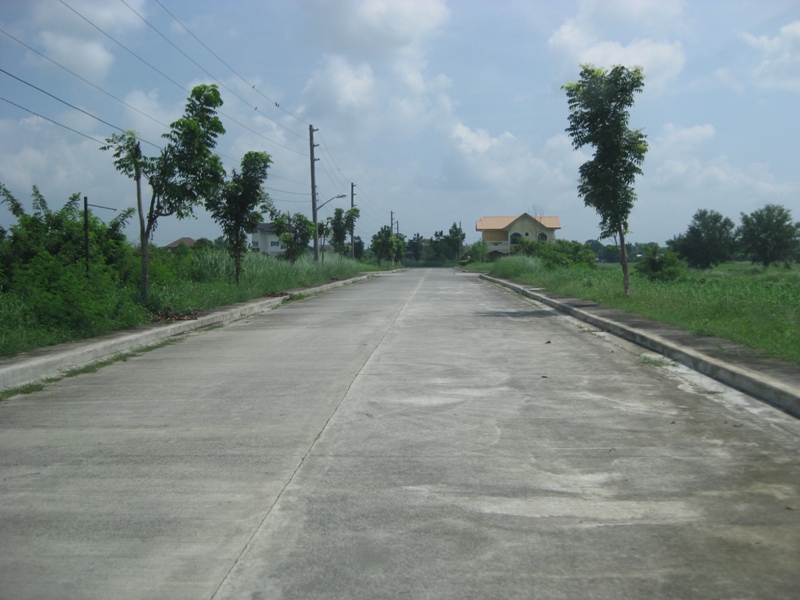 FOR SALE: Lot / Land / Farm Pangasinan 1