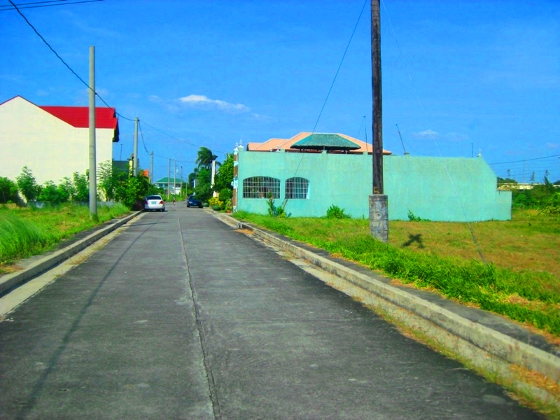 FOR SALE: Lot / Land / Farm Cavite > Dasmarinas 1