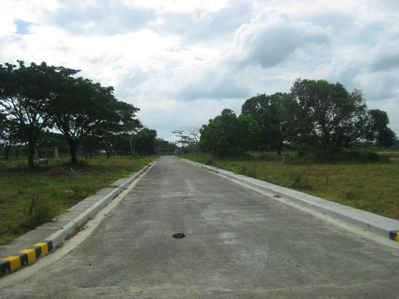 FOR SALE: Lot / Land / Farm Cavite 3