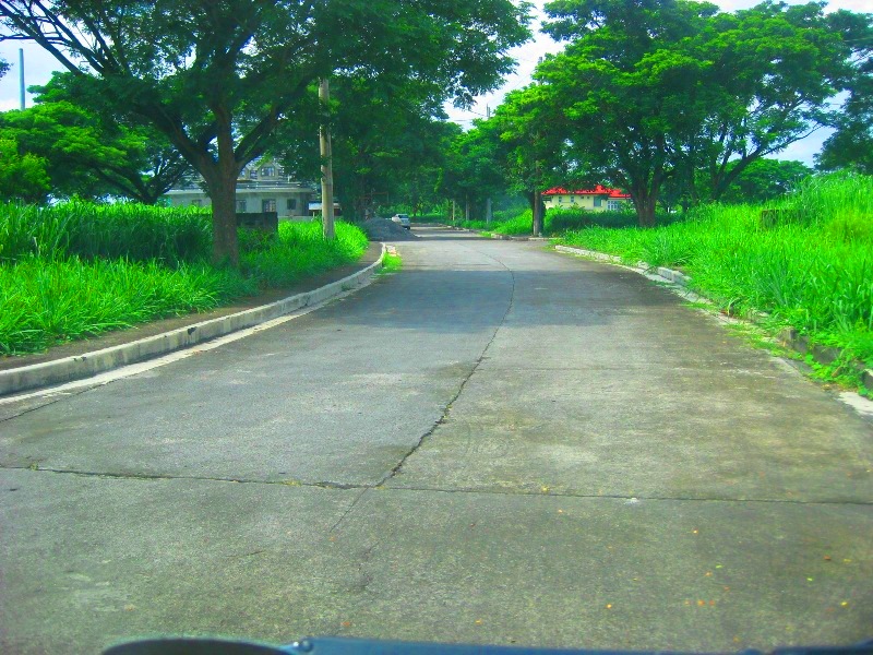 FOR SALE: Lot / Land / Farm Cavite > Dasmarinas 3