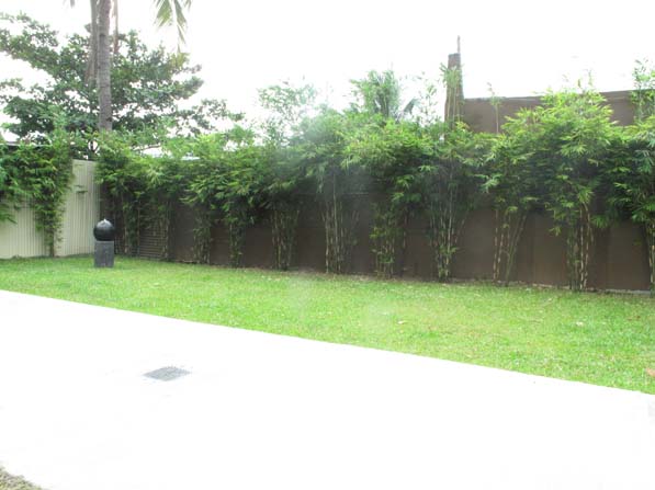 FOR SALE: Apartment / Condo / Townhouse Manila Metropolitan Area > Quezon 6