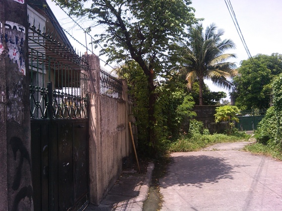 FOR SALE: House Manila Metropolitan Area > Quezon 1