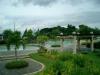 FOR SALE: Lot / Land / Farm Cavite