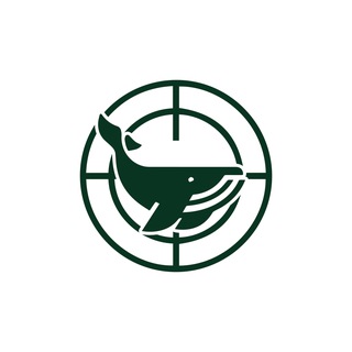 Whale hunter — @whalehunter_eng