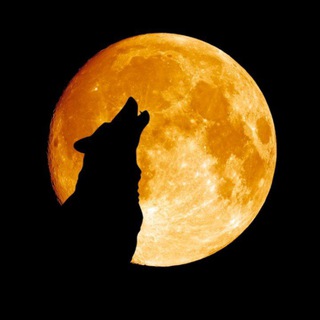 Wolf Moon Binary Signals🦊 — @binarysignalsitm