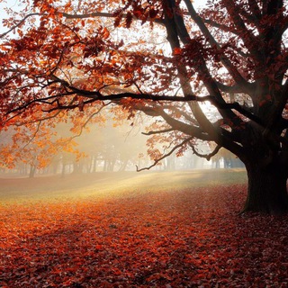 TRAVEL WONDERS — @wonderful_globe