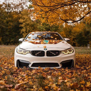 CAR π LOVER π β @car_lover_oro