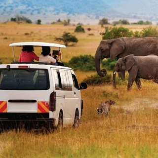 @Epanoui_Vibes_Safaris_ltd πΊπ¬πΊπ¬π₯π₯βοΈπβΊοΈππ³βοΈ β @wild_vibeztourism_ug