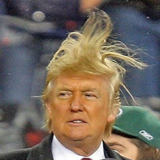Trump's Haircut (fun, memes, gifs, pew) — @pfff_funny_memes_gifs