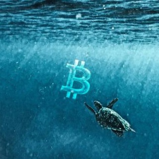 Crypto Sea & Cryptocurrencies «News» — @crypto_sea_news
