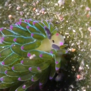 qts of unconventional (but still cute!) nature — @unconventionalqts