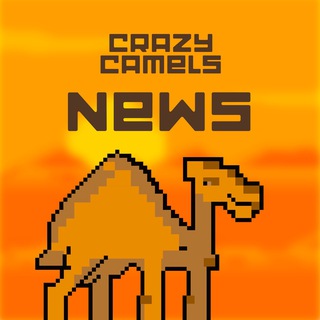Crazy Camels News — @crazy_camels