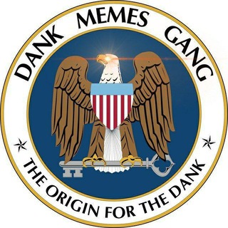 Dank Memes Gang ️️ — @dankmemesgang