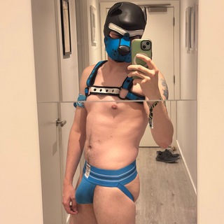 Defrosted — @pupfrost