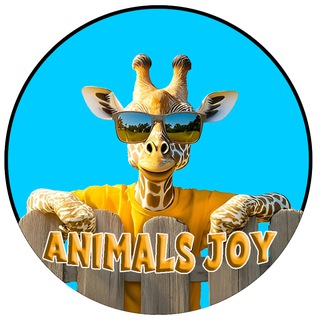 Animals Joy — @animalsjoy