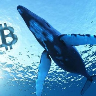 Whales Crypto Guide — @whalesguide