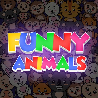 FUNNY ANIMALS 🙈 — @funnny_animals
