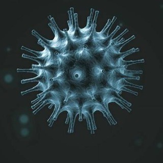 Coronavirus News — @coronavirusnewslive_com
