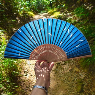 Kyoto Insights — @kunokumo