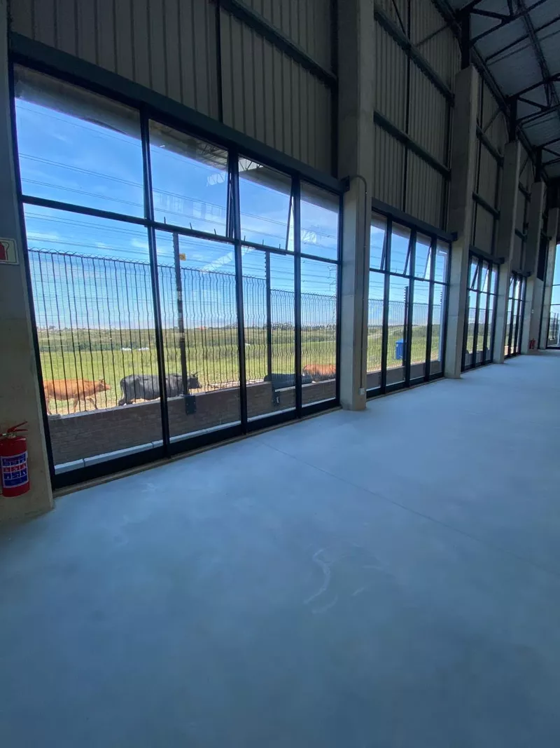 871 m² Industrial to let in George, South Africa, 50 Pioneer Street, George (photo 41)