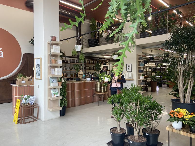 609 m² Retail property to let in De Waterkant, Old Cape Quarter (photo 8)