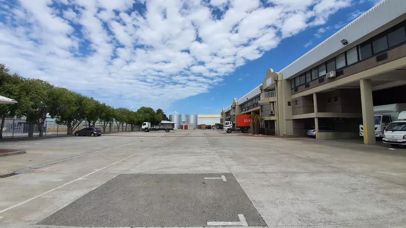 2 651 m² Industrial to let in Western Province Park, 17 - 21 Agric Str (photo 19)