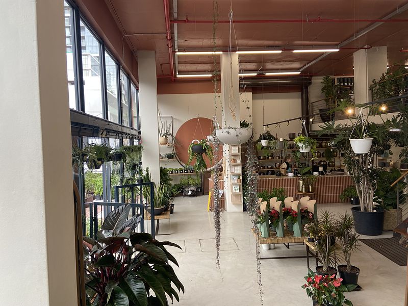 609 m² Retail property to let in De Waterkant, Old Cape Quarter (photo 7)