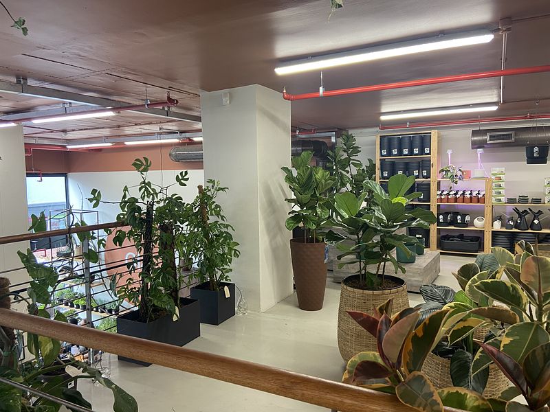 609 m² Retail property to let in De Waterkant, Old Cape Quarter (photo 32)