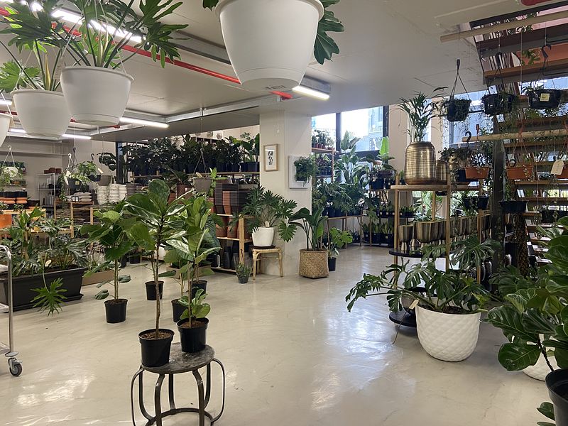 609 m² Retail property to let in De Waterkant, Old Cape Quarter (photo 24)