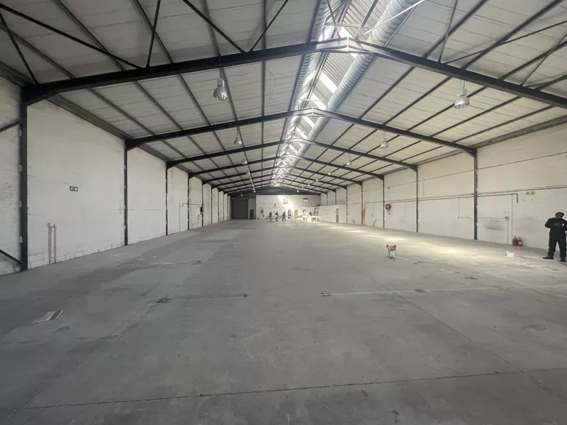 1 315 m² Industrial to let in Athlone, 8A Induland (photo 13)
