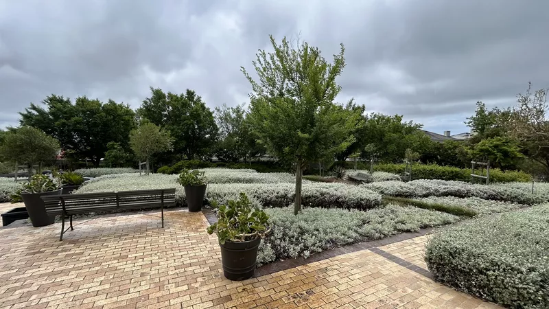 490 m² Office to let in Westlake, Silverwood Close, Steenberg Office Park (photo 6)
