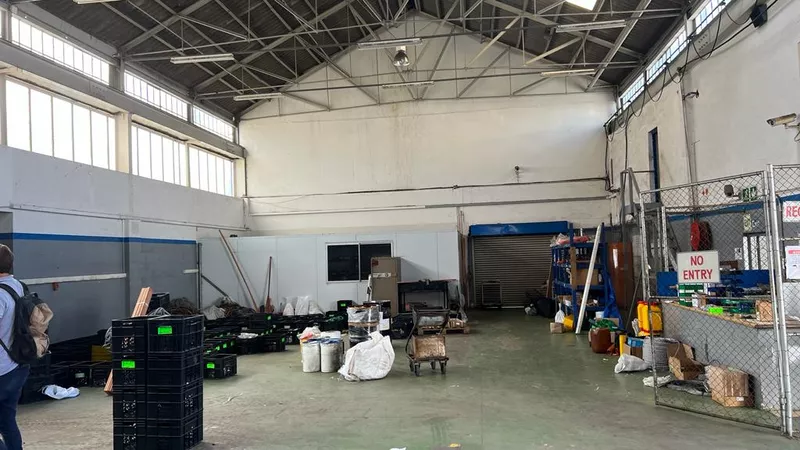 1 200 m² Industrial to let in Salt River, 59 Salt River Road (photo 4)