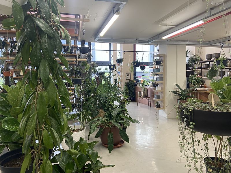 609 m² Retail property to let in De Waterkant, Old Cape Quarter (photo 23)