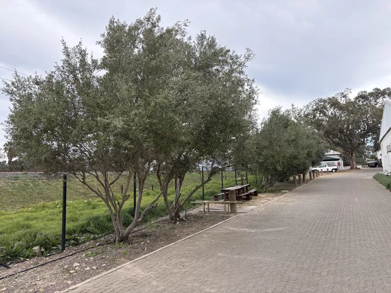 450 m² Office to let in Paarl, Simondium Guild (photo 10)