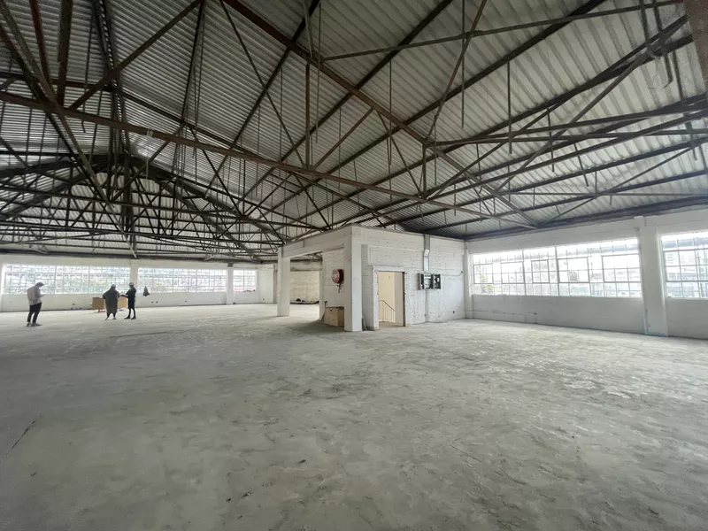 1 600 m² Office to let in Gardens, 105 Hope Street (photo 5)