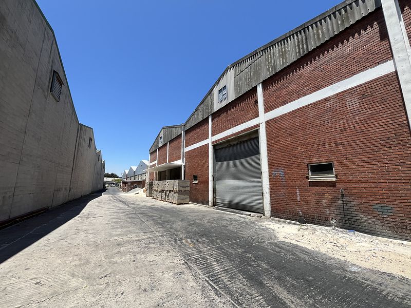 4 000 m² Industrial to let in Epping 1, 32 - 34 Benbow Ave (photo 12)