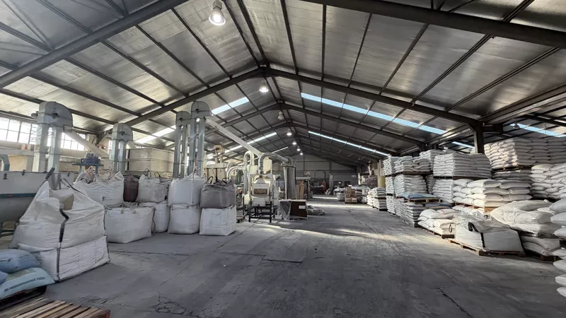 1 287 m² Industrial to let in Okavango Park, Falcon Close, Okavango Park (photo 10)